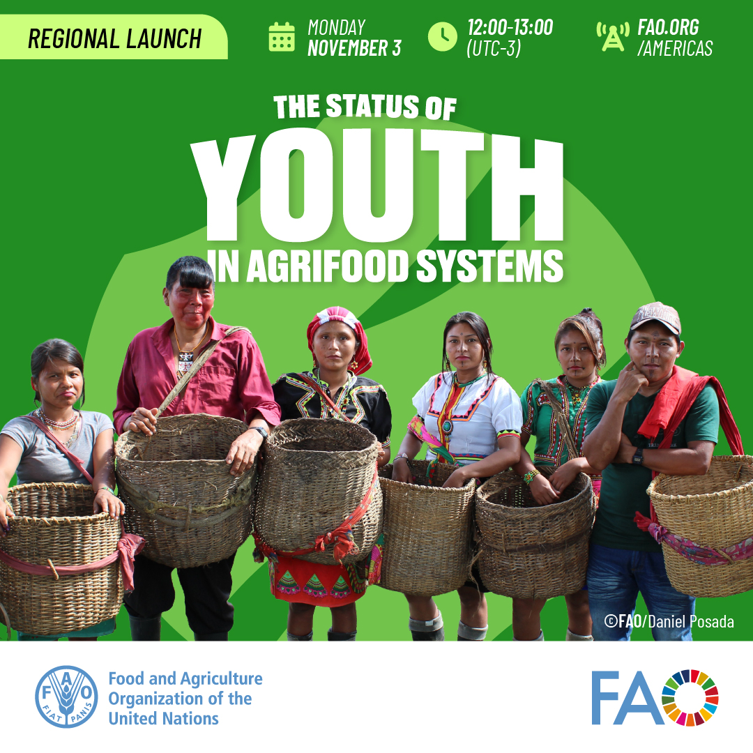 FAO_AgriFam's tweet image. 🚨TODAY!
📗 Join the Latin America and the Caribbean launch of the @FAO global report “The Status of #Youth in #AgrifoodSystems” 📘
🗓️ November 3
🕛 12:00 (UTC-3)
🔗 bit.ly/3X2lsat