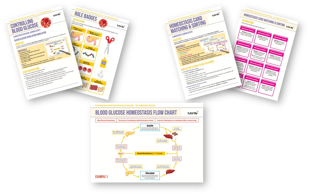 📢Are you teaching AAQ BTEC National HSC Unit 2 Human Biology &amp; Health? 

❓Have you seen our huge range of free teaching and learning resources?

💻Download your topic PowerPoints, interactive games and learning resources now!

#BTECAAQ #BTECHumanBio

tutor2u.net/hsc/collection…