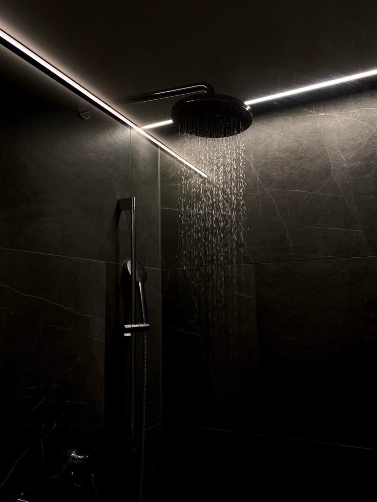 alex 🐾 🍀 tweet media