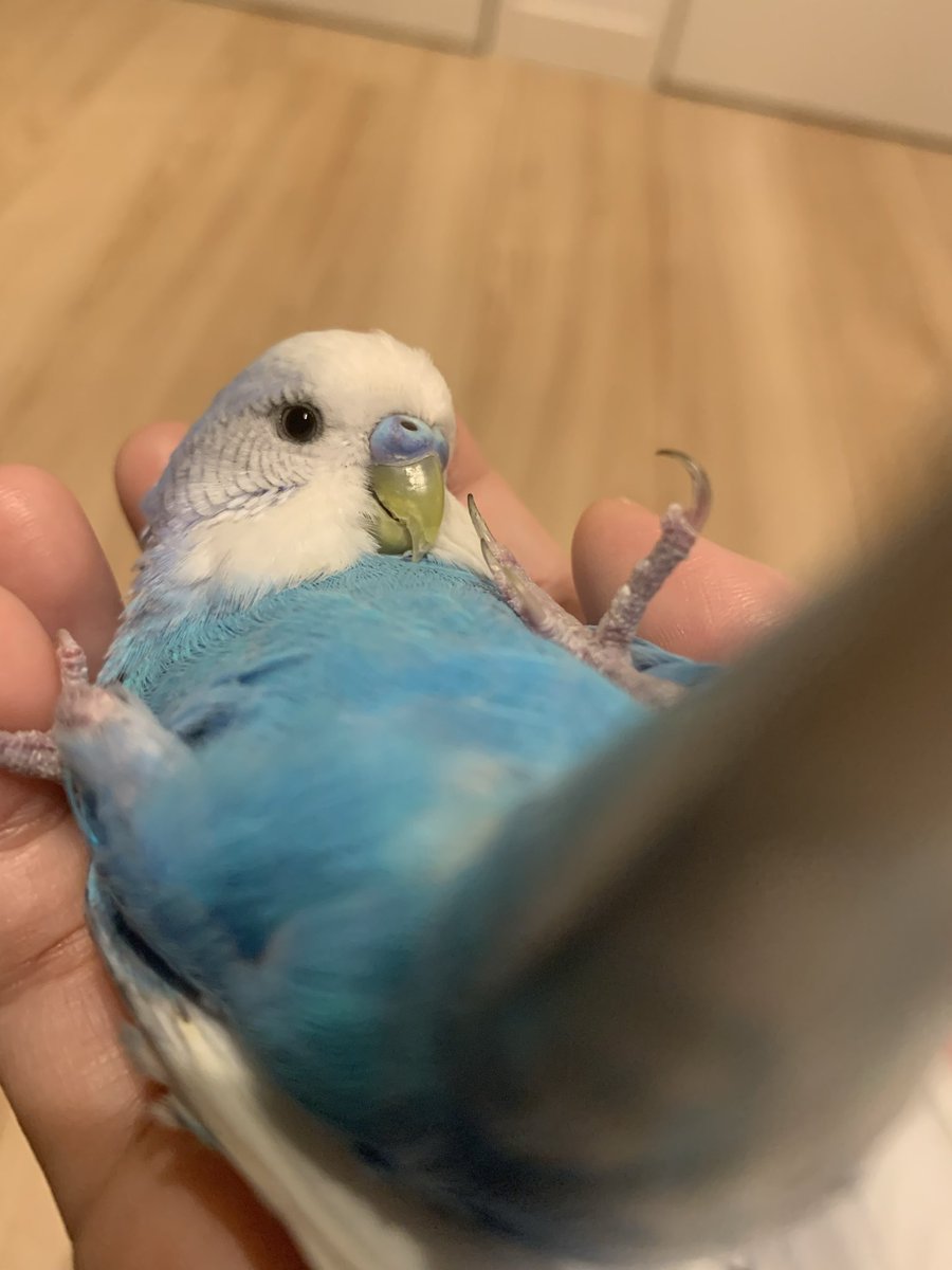 みるきー (@milkyma2) / Posts / X