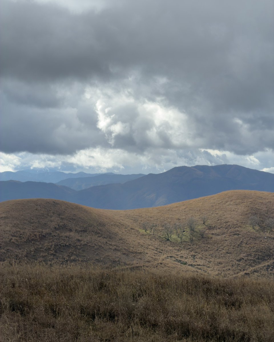 _333drive's tweet image. ビーナスライン走ってきました！

テスラを見かけたら手を振りたかったのですが、遭遇しませんでした😥

マツダのロードスターがたくさんいて可愛かったです🚗
オープンにできるの羨ましい...
 
#テスラ #Model3