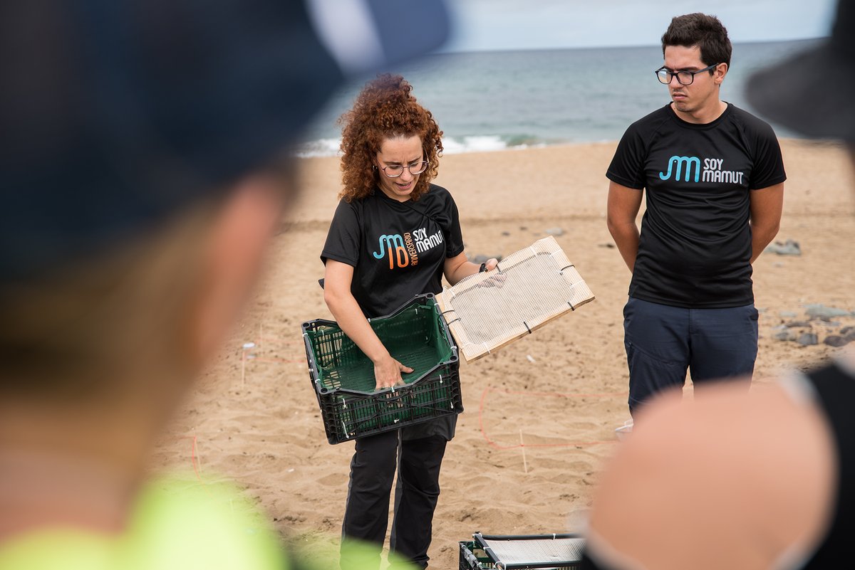 MASDANZA_FEST's tweet photo. #30MASDANZA
Limpieza en el Barranco y Playa Bocabarranco (Gáldar) con PFAE Olympia y SOY MAMUT 💪 73 kg de residuos menos 🌊🌿
Clean-up at Barranco &amp; Bocabarranco Beach (Gáldar) 💚 73 kg of waste collected 🌍♻️
#Sostenibilidad #Sustainability #Voluntariado https://t.co/ClVBDPMVsW