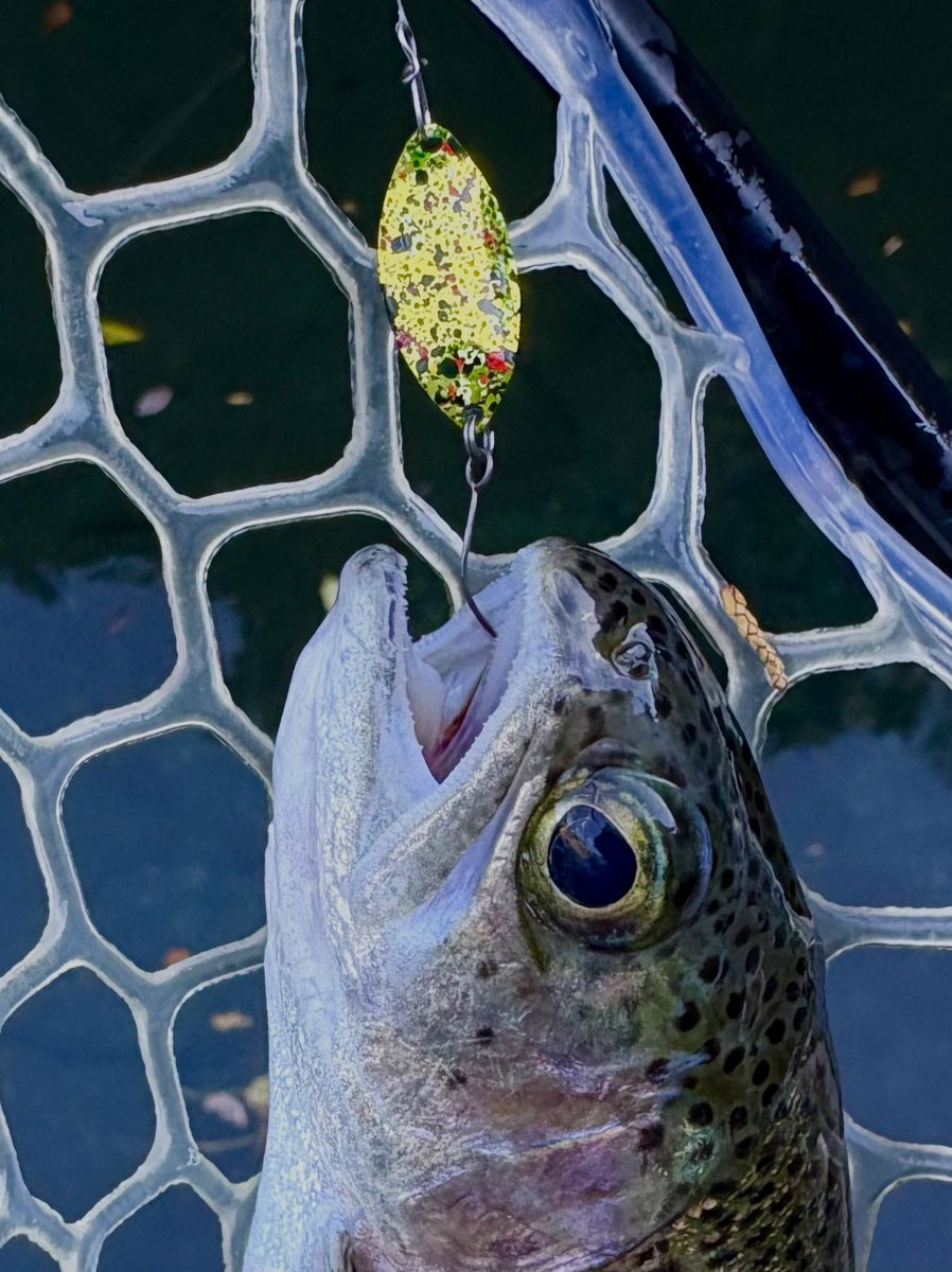 ケロケロパパ on X