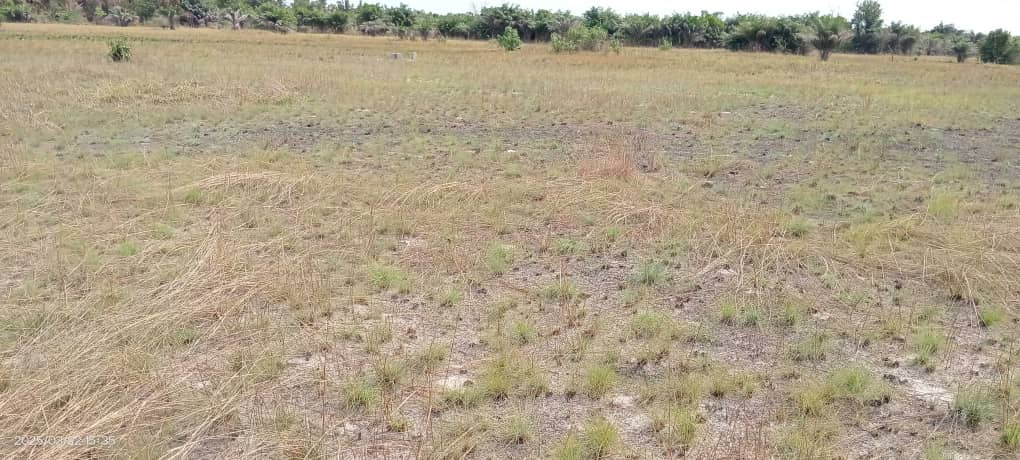 eliteviewhomes's tweet photo. Welcome to Sun City Phase 1 Extension.
LOCATION
Ode Omi Via La Campagne Tropicana, Ibeju Lekki 
INITIAL DEPOSIT 500K
PRICE: 700K Per Plot 
PLOT SIZE: 450SQM
TITLE:- Registered Survey and Deed
Landmark
La Campagne Tropicana 
Dangote Refinery 
Lekki Free Trade Zone
Marketed by EVH https://t.co/OcuO5N71MF