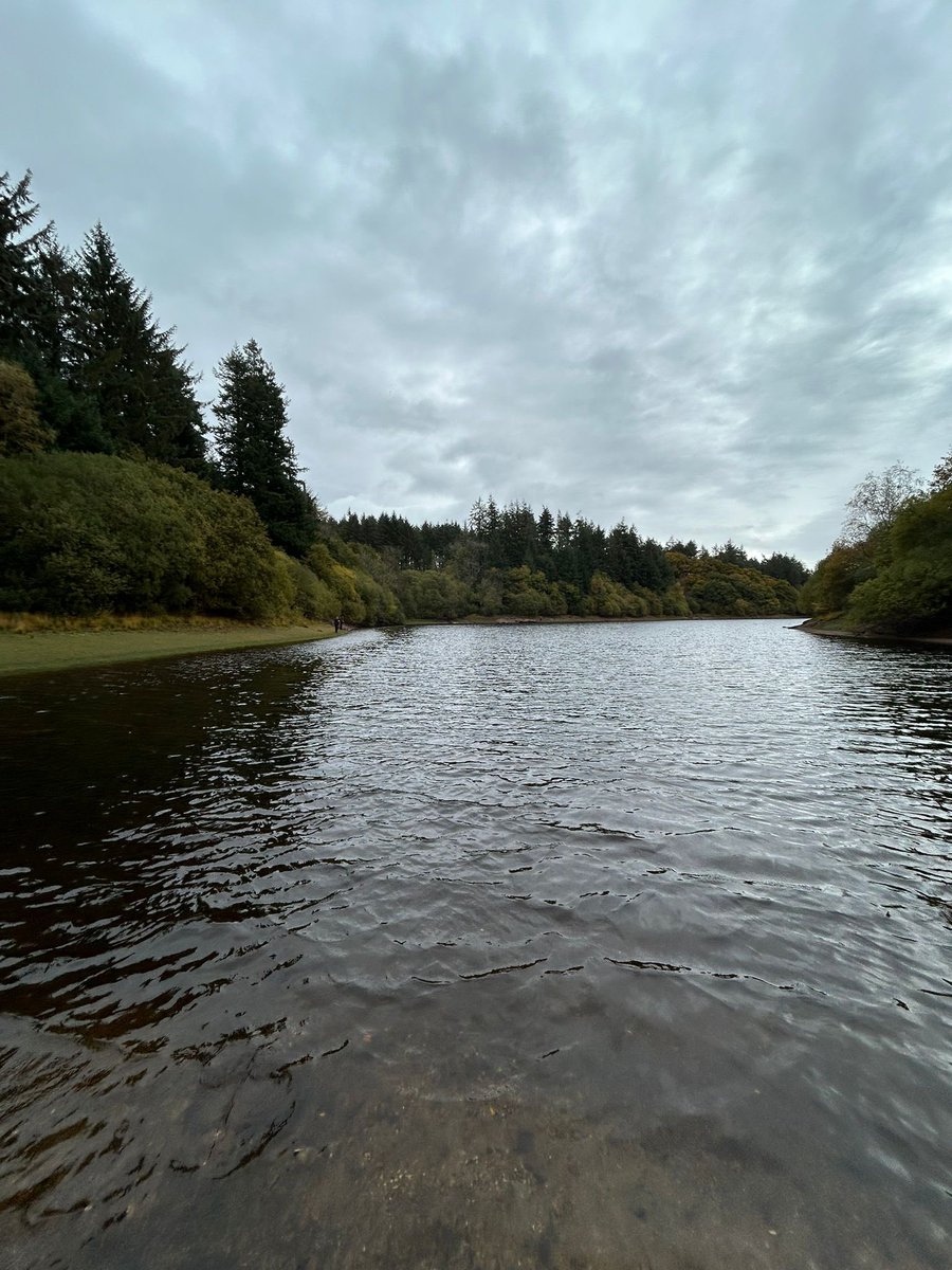 Ian Schaverien tweet media