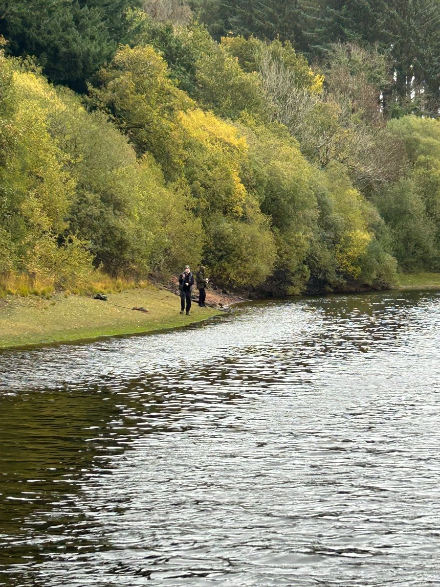 Ian Schaverien tweet media