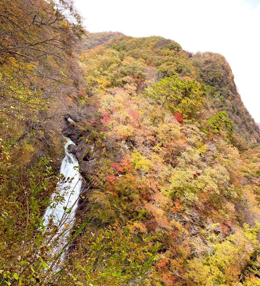 たつきち tweet media