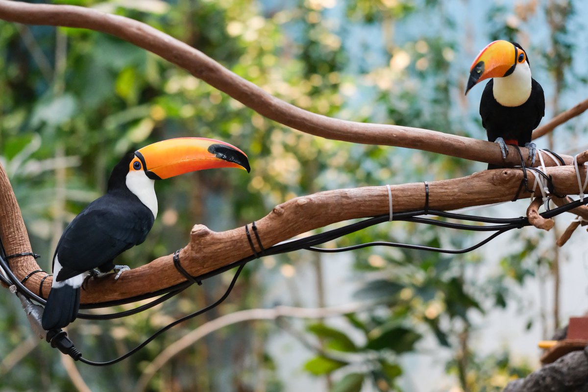 sgg-ayako (@xRBBhXh3Ozv4OyP) / Posts / X