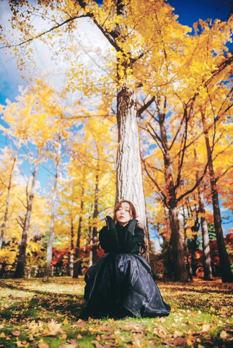 Model <a href="/yurielel3/">yu ＊札幌モデル＊</a> 

#SonyAlpha #写真で伝える私の世界 #秋 #紅葉