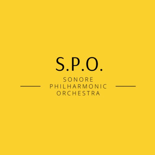 Sonore_Phil's tweet photo. お久しぶりです🙌
この度、S.P.O.(Sonore Philharmonic Orchestra)は再始動いたします。
2026年1月4日に『再来』演奏会を開催予定！本アカウントをフォローの上、情報お見逃しなく👀‼️ https://t.co/qhgB0tsnjW
