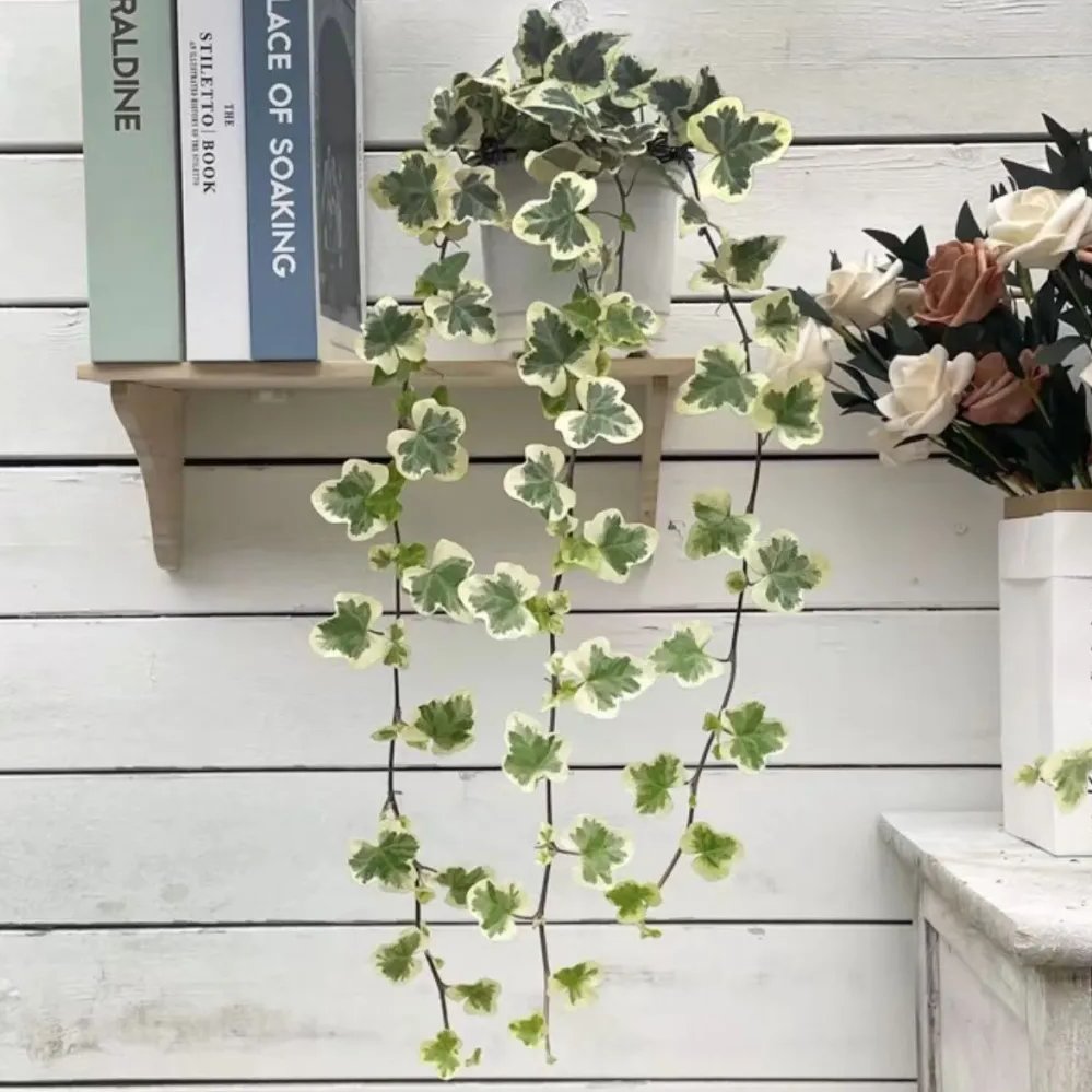 znsvecv's tweet photo. インスタ映えグリーン｜雪莹（ユキエイ）葉アイビーが最高すぎる 🌿
最近ハマっている日本の雪莹アイビー、本当にツボすぎる…！
クリーミーなデザインで高級感たっぷり、窓辺に置くだけで雰囲気満点
ちょっと小さめでレトロ感のあるヴィンテージ風、日系インテリアが好きなあなたにぴったり
#雪莹アイビー #植物 #アイビー #日系グリーン #クリーミーインテリア #小さめ植物 #インスタグリーン #ヴィンテージグリーン