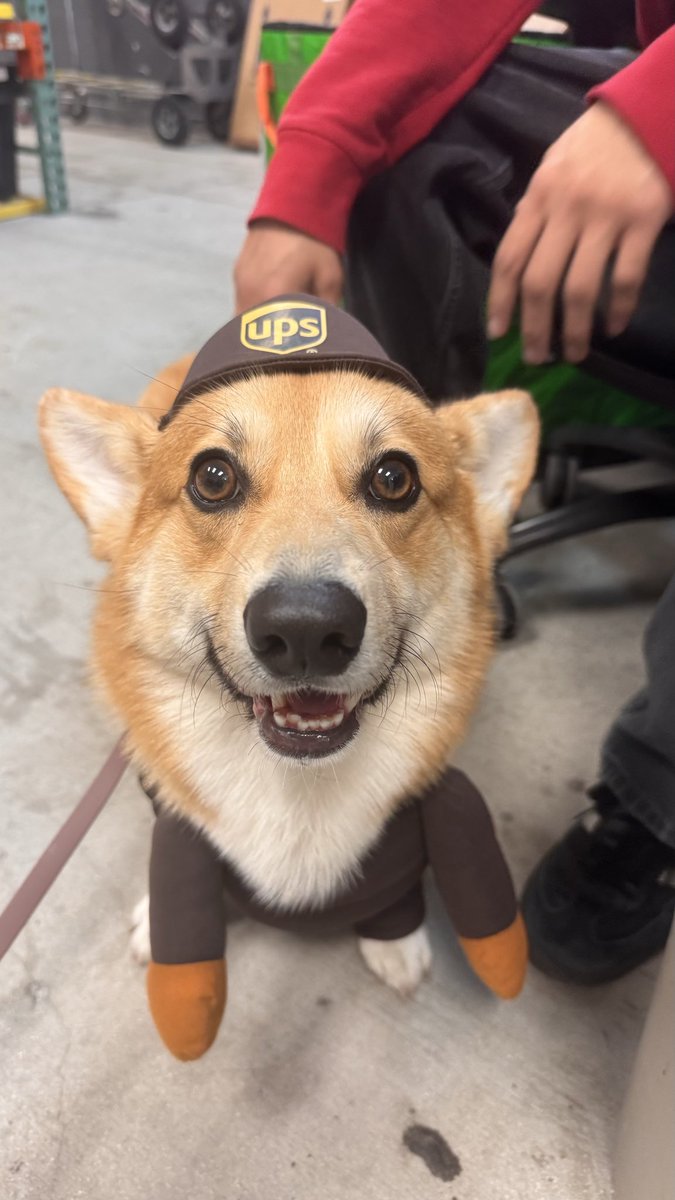 TheFrenlyApp's tweet photo. @Dalbodog Delivered by this guy! https://t.co/TgUYuruUGu