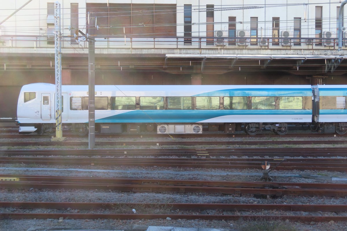 サメ線 (@3mesen) / Posts / X