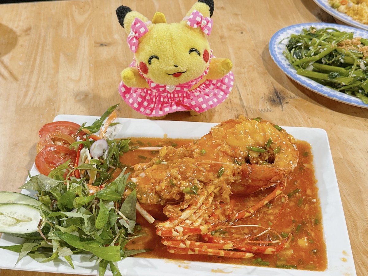 初期ピカチュウϞໂ•·̫•ໃ♥ (@PIKApikaSRP) / Posts / X