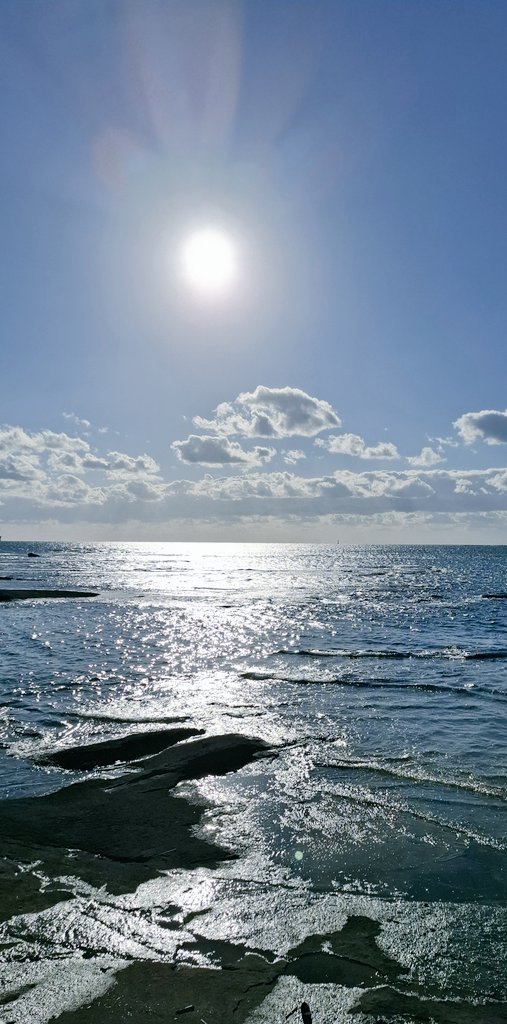 darucharo's tweet photo. 自然パワーを充電☀️前日に決めた割に川、山、滝、海、全てまわれたな～良かった🐟 #雨乞の滝 #和歌山 #天神崎 #安川渓谷 #田辺市 #終始大騒ぎでワロタ https://t.co/AJmZUIuYlM