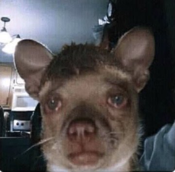 OOkkoorriiee_v's tweet image. I&apos;ve been stuck on a React tutorial for some months now 🥲

#tech #JavaScript #vscode