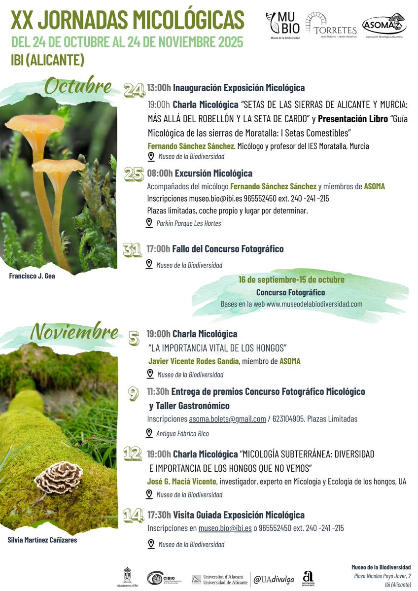 #IbiMedioambiente ]🍄Excursión Micológica. XX Jornadas Micológicas de Ibi. 

☀️ Se invitó al grupo a recolectar la mayor cantidad y variedad de ejemplares para ser examinados y determinados, con la ayuda del profesor y micólogo Fernando Sánchez.😊

📅Próxima cita, 5 de noviembre.