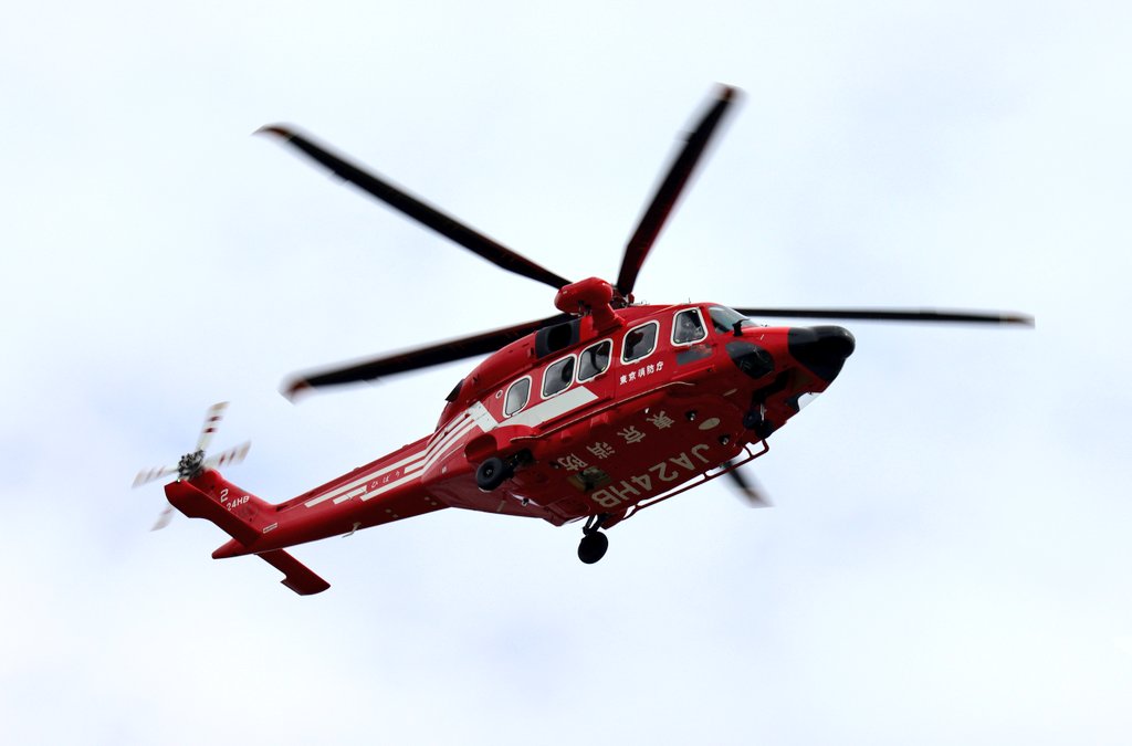 ワイルドあまぎ on X