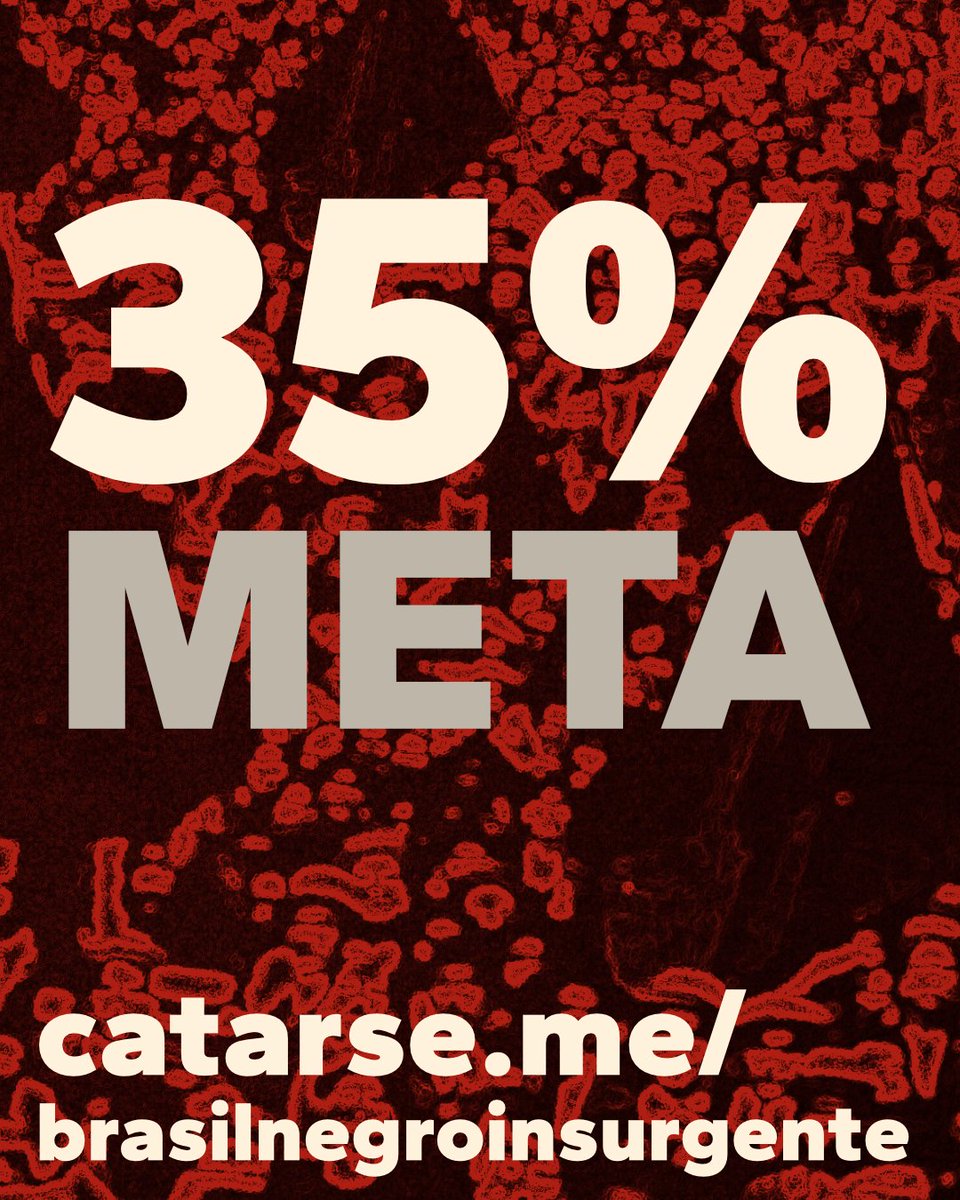 Cada contribuição é um passo para romper o silêncio.
Seguimos construindo, página a página, uma história que não aceita apagamentos.
Obrigado a quem já acreditou nesta caminhada, ainda há muito a conquistar. catarse.me/brasilnegroins…