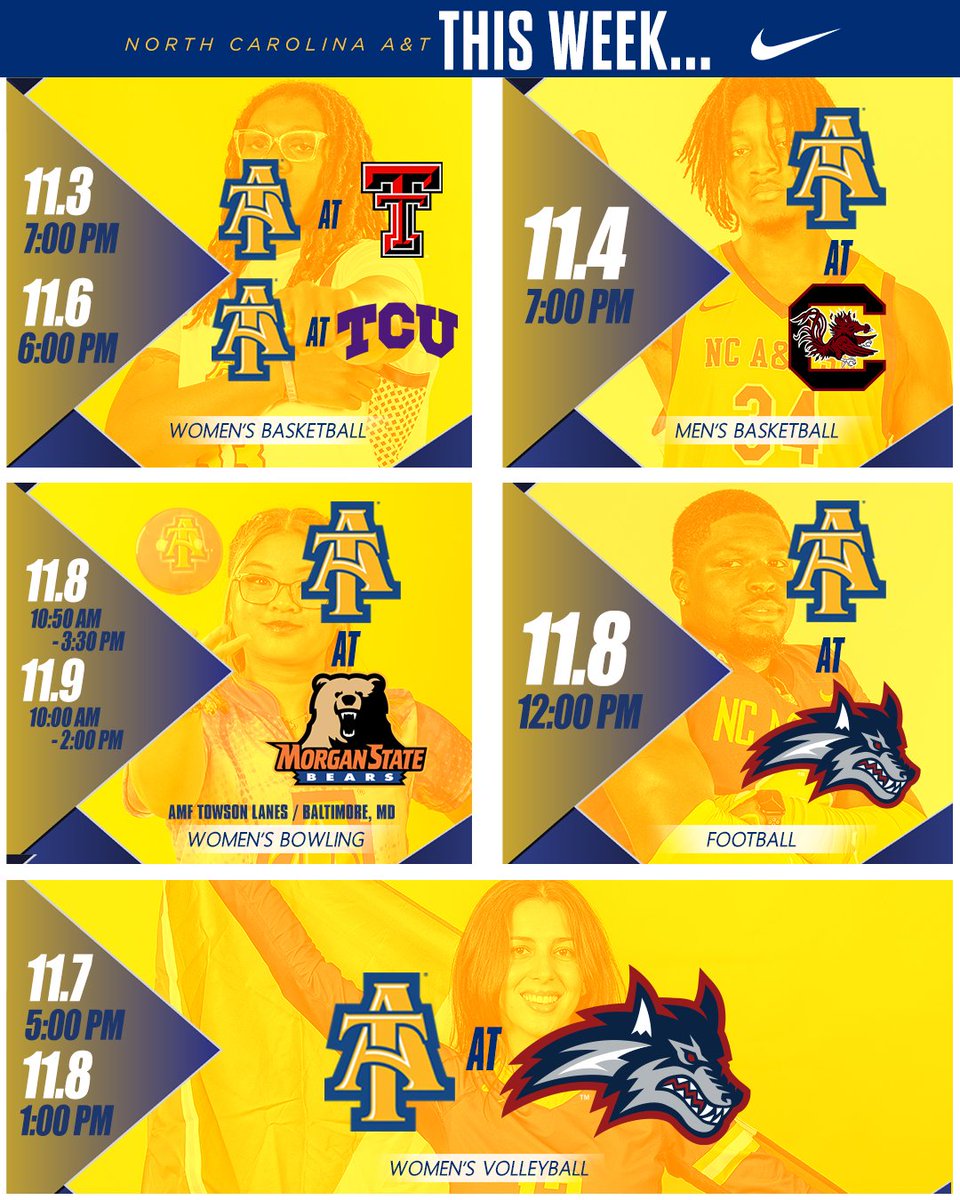 NCATAGGIES's tweet image. 