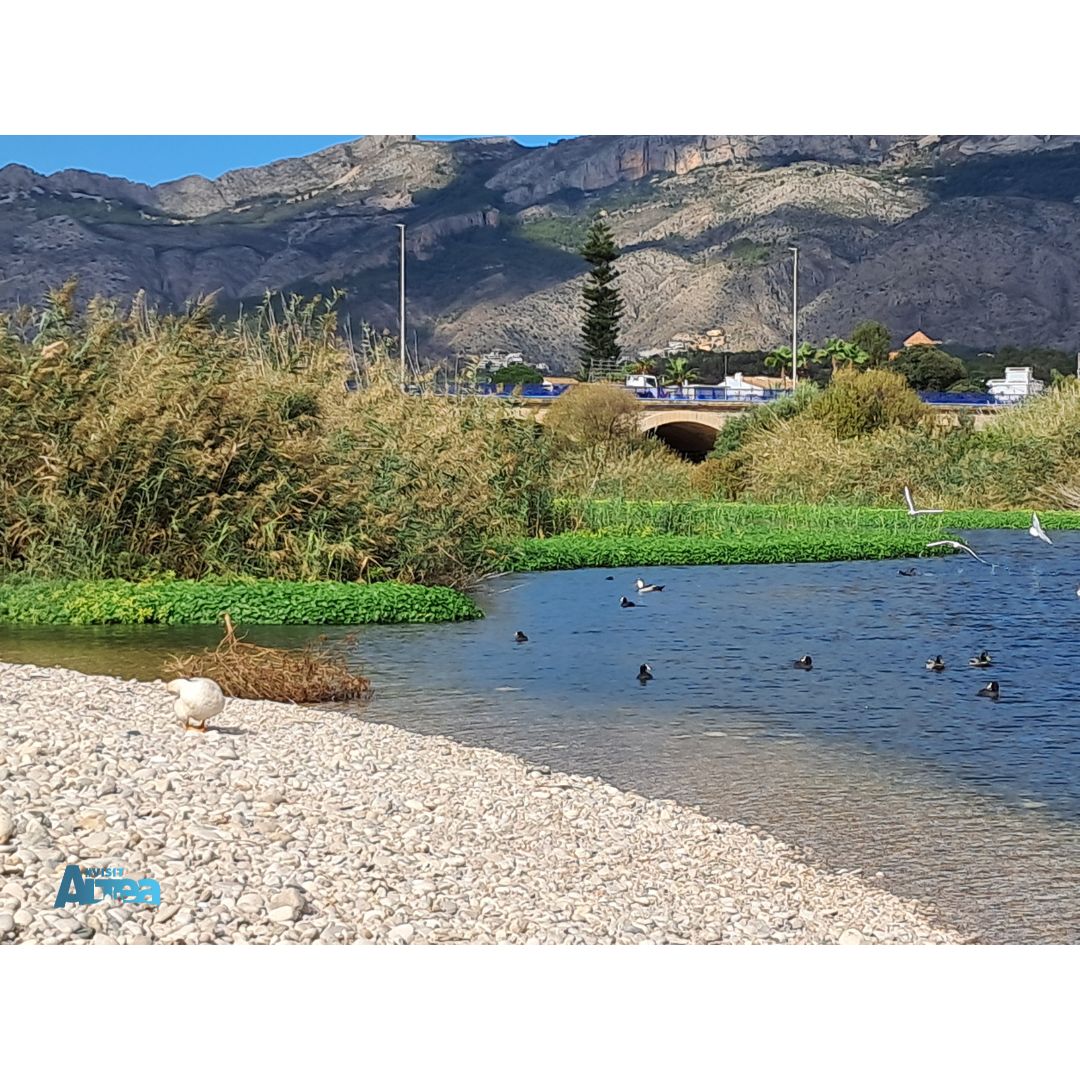 (VAL) El riu Algar ha sigut font d’aigua, agricultura i recursos tradicionals. Combina natura, història i oci.

(CAS)  El río Algar, patrimonio ha sido fuente de agua, agricultura y recursos tradicionales . Combina natura, historia y ocio.