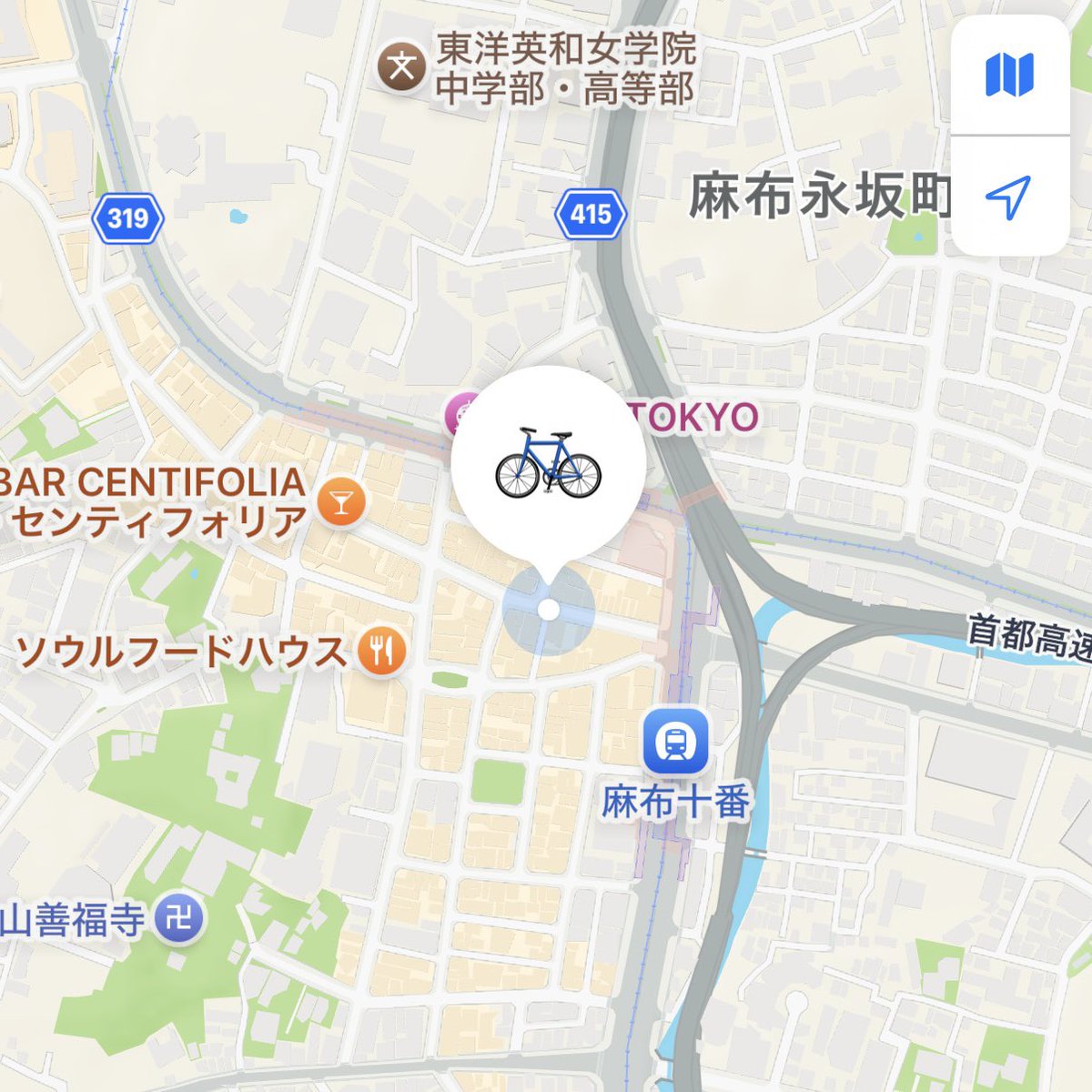 ジャッキーちゃん (本人) on X