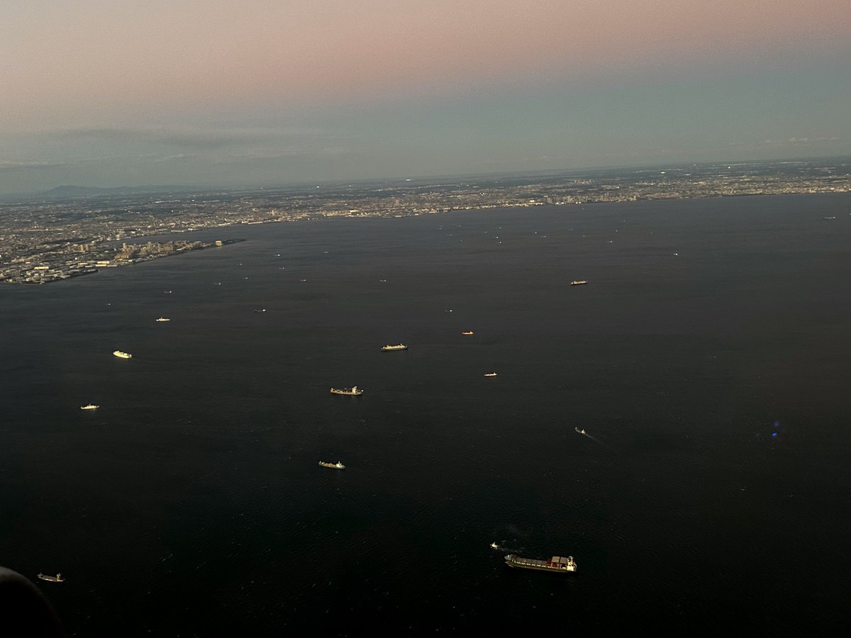 Sunset Flight