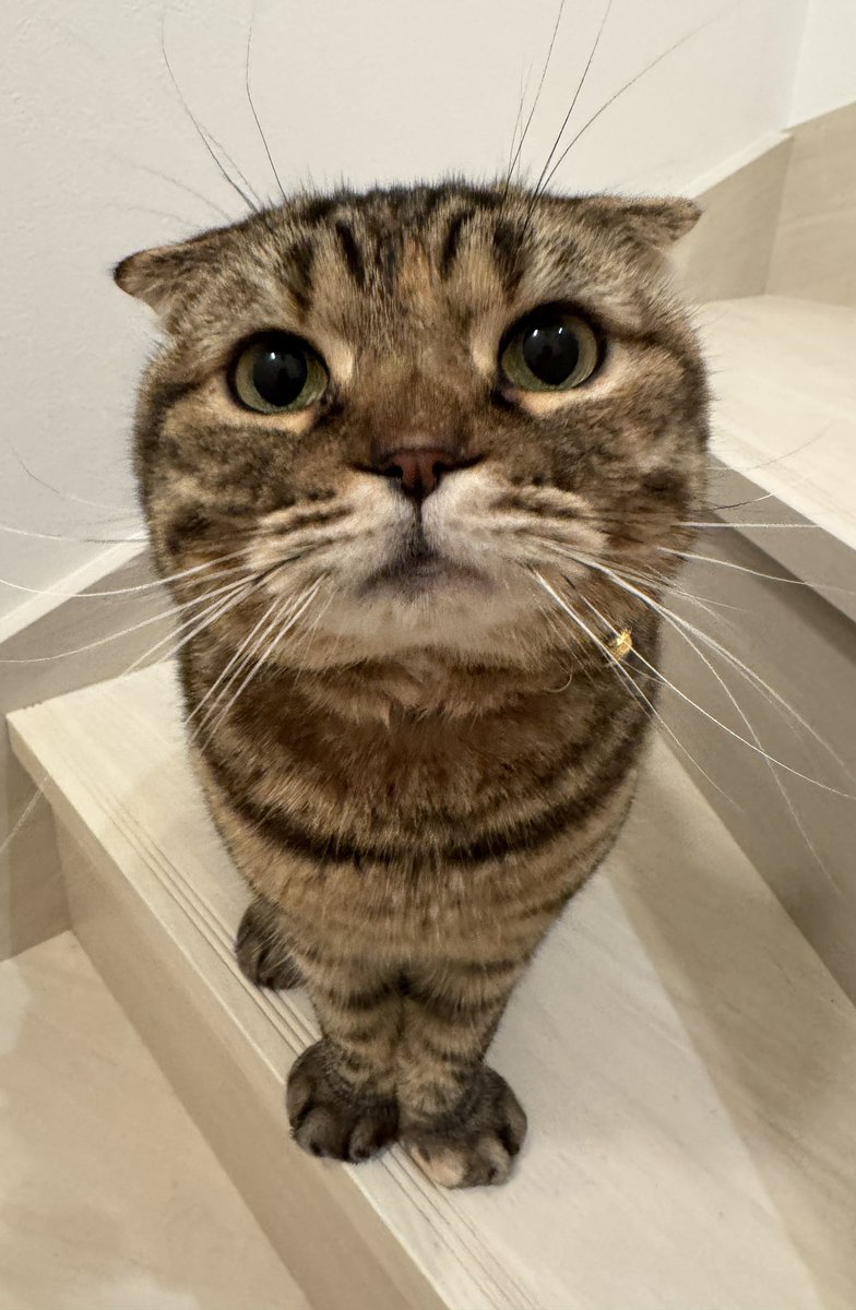 はやく一緒に寝たい まつたけ