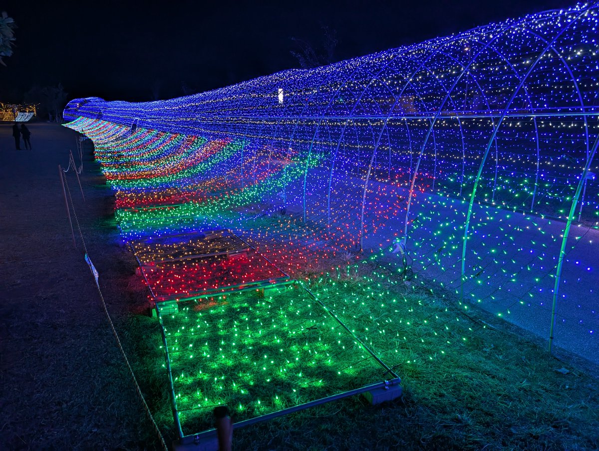 超入手困難❗西独盤❗歌詞対訳付き❗アンフォッシ　魔女チルチェ 赤魔道士みっちい (@red_magician) / Posts / X