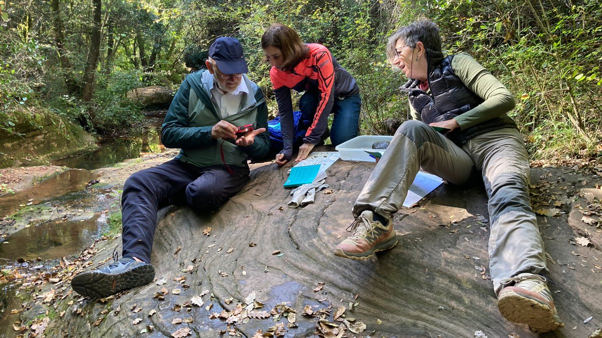 assoc_habitats's tweet photo. Ja hem rebut les moltes inspeccions del #ProjecteRius💧!
1️⃣Anoia pel Clima, al riu Anoia a Igualada.
2️⃣L'Associació Martinet, a la riera de Martinet a Aiguafreda.
3️⃣L'institut Pau Vila, al riu Ripoll a Sabadell
4️⃣L'Escola Portella Blanca, al riu de la Llosa a Lles de Cerdanya https://t.co/uRXAfB6DbV