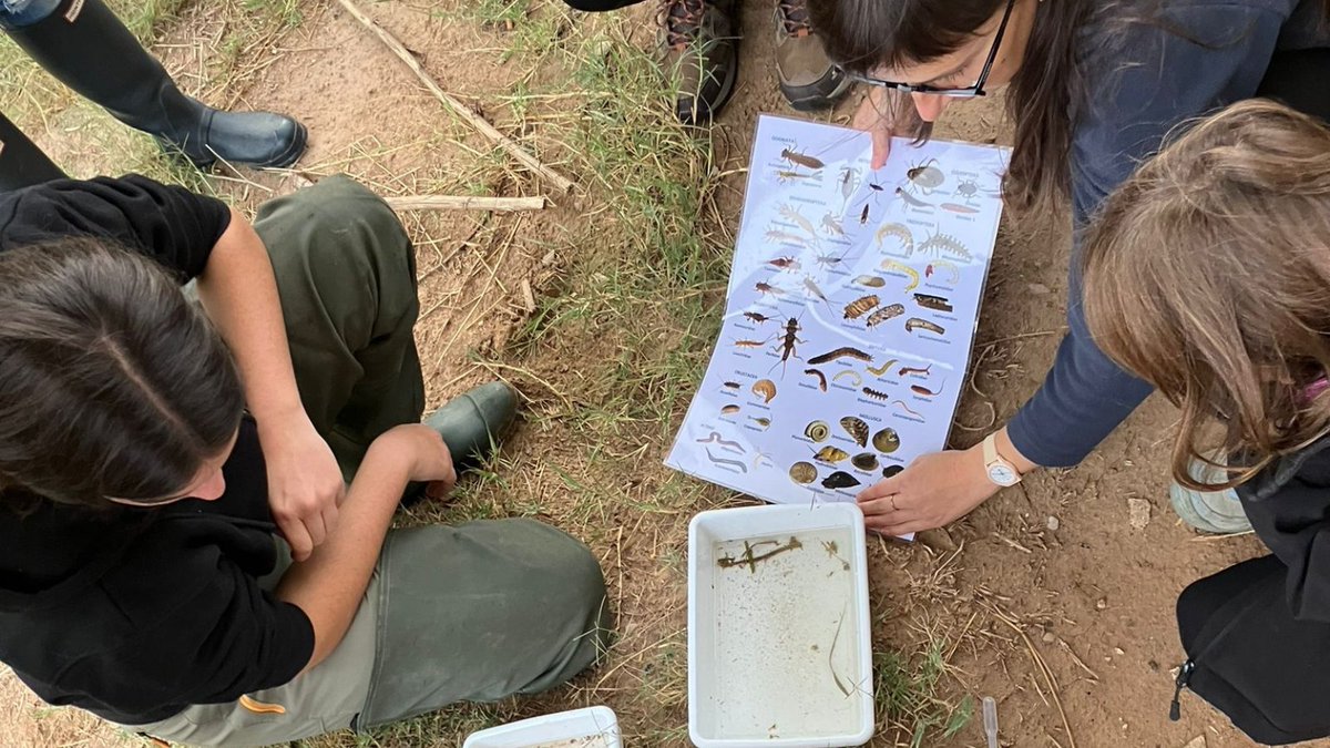 assoc_habitats's tweet photo. Ja hem rebut les moltes inspeccions del #ProjecteRius💧!
1️⃣Anoia pel Clima, al riu Anoia a Igualada.
2️⃣L'Associació Martinet, a la riera de Martinet a Aiguafreda.
3️⃣L'institut Pau Vila, al riu Ripoll a Sabadell
4️⃣L'Escola Portella Blanca, al riu de la Llosa a Lles de Cerdanya https://t.co/uRXAfB6DbV