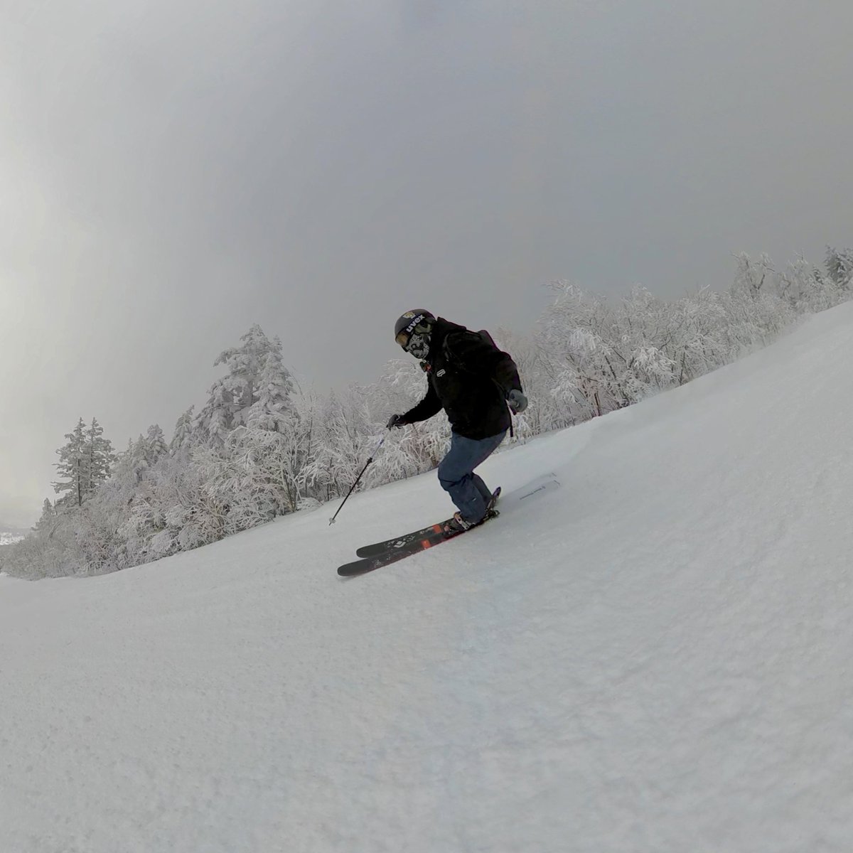 Snow Monkey🐒 in Saltpeak Bumps Base tweet media