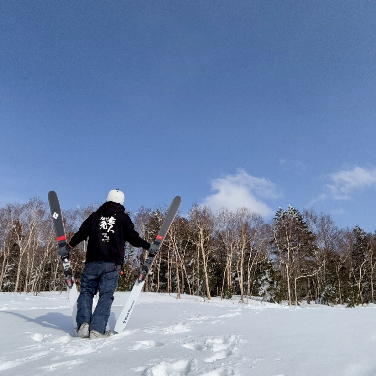 Snow Monkey🐒 in Saltpeak Bumps Base tweet media