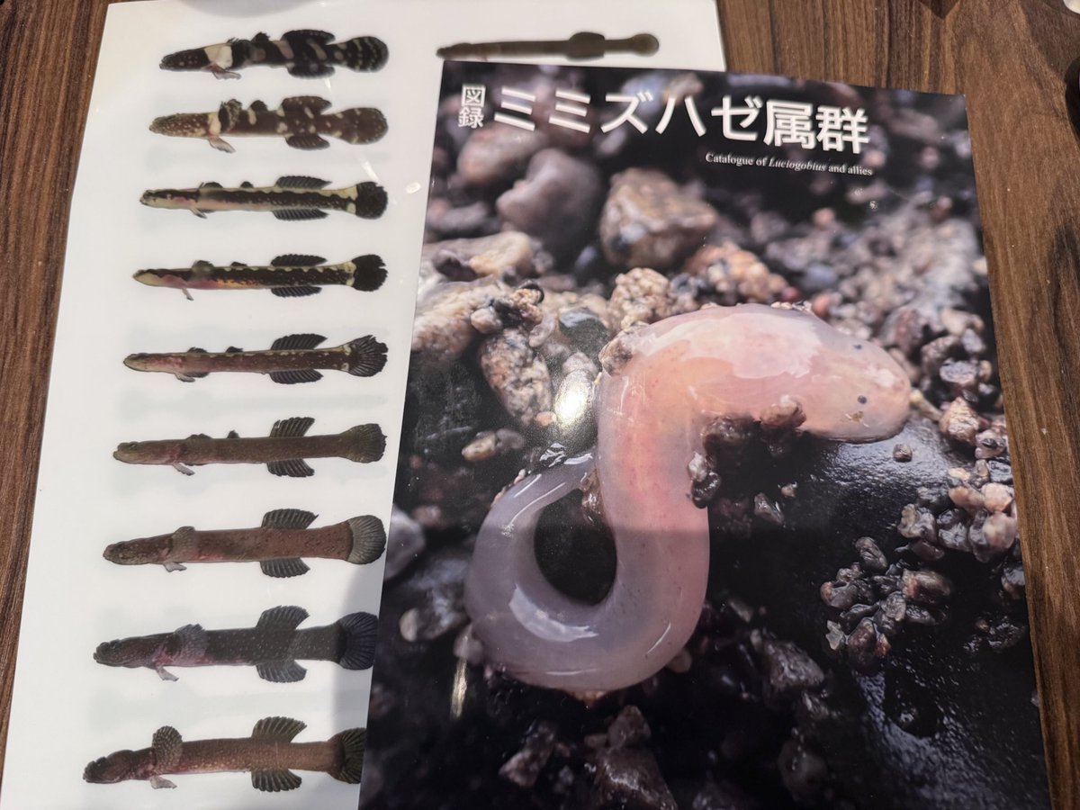 バージル　ポストカード ポストカード｜ゲルニカ | TAICHI ONLINE SHOP