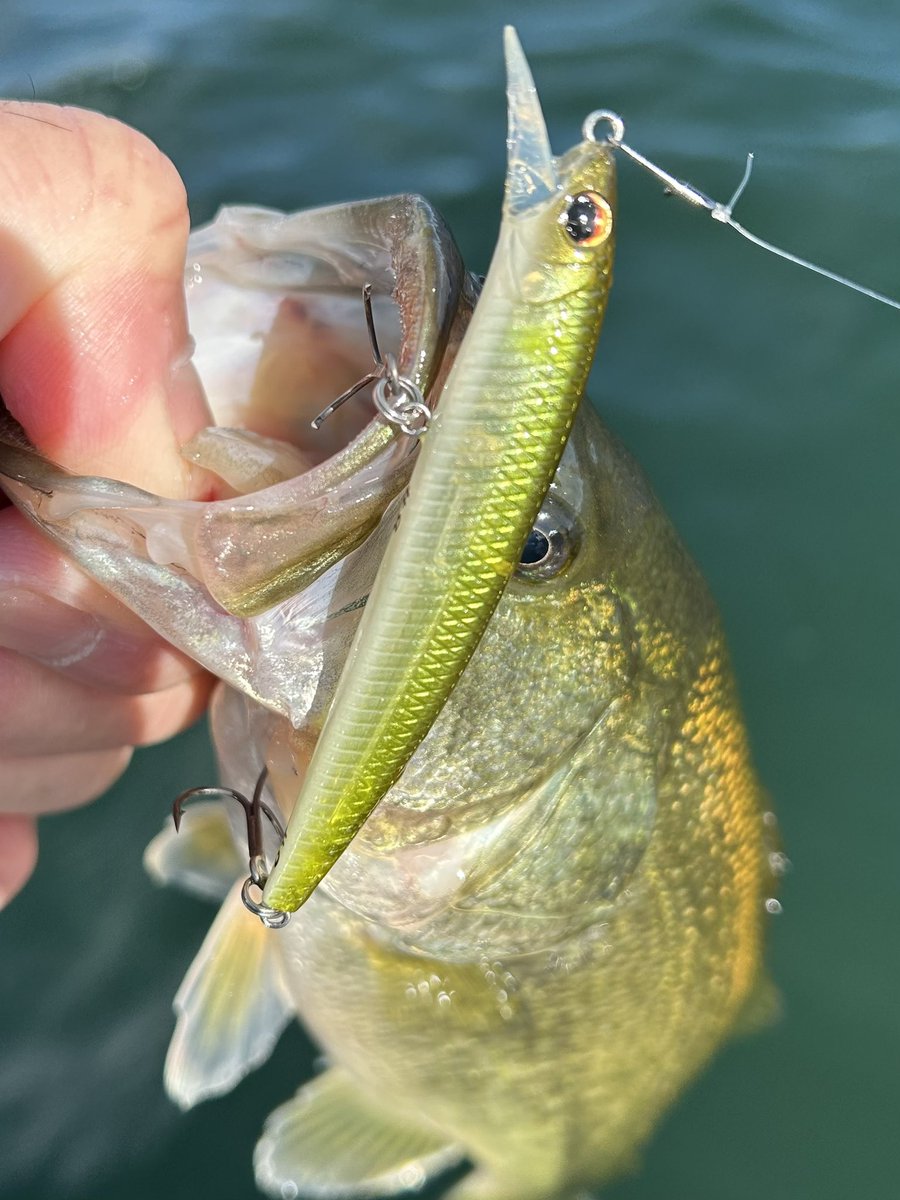 takashi-Payforward on X