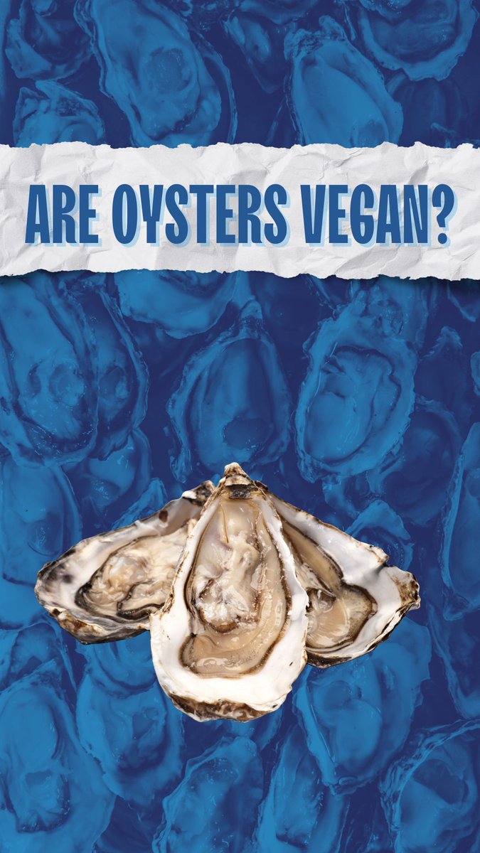 PETAUK's tweet image. Are #oysters vegan? Find out 👉 peta.org.uk/blog/are-oyste…