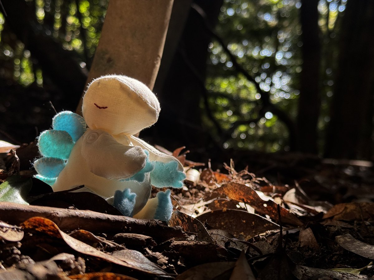 おさかな (@osakana_baw) / Posts / X