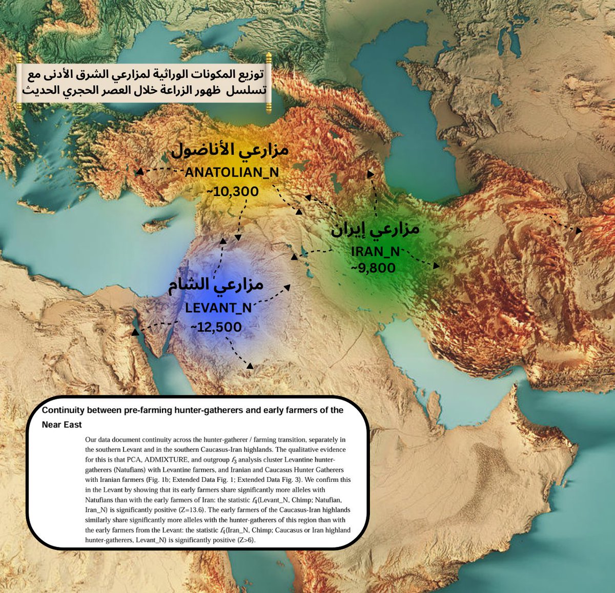 المكونات الوراثية لمزارعي الشرق الأدني خلال العصر الحجري الحديث ( 12-6 الاف سنة).

أبرز المساهمين وراثياً للجماعات النحاسية والبرونزية.