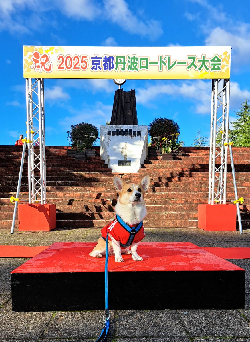 コジとしんのかぁしゃん(kazu) tweet media