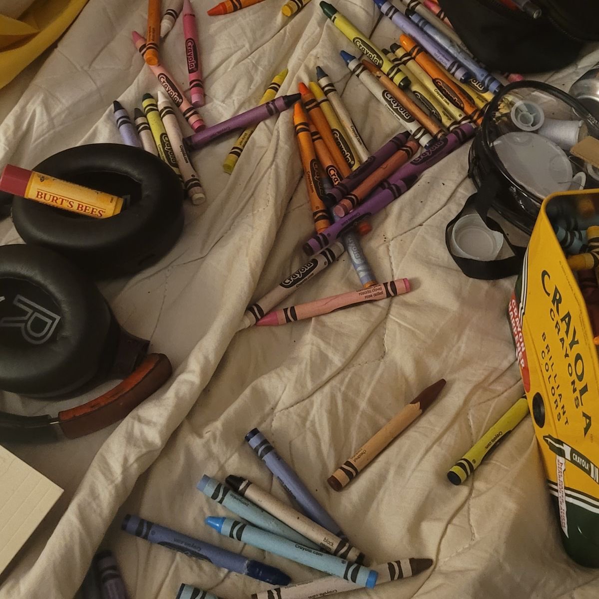 HIDINGPRO's tweet photo. early morning coloring.. they’re doing great https://t.co/mcEISR3SS2