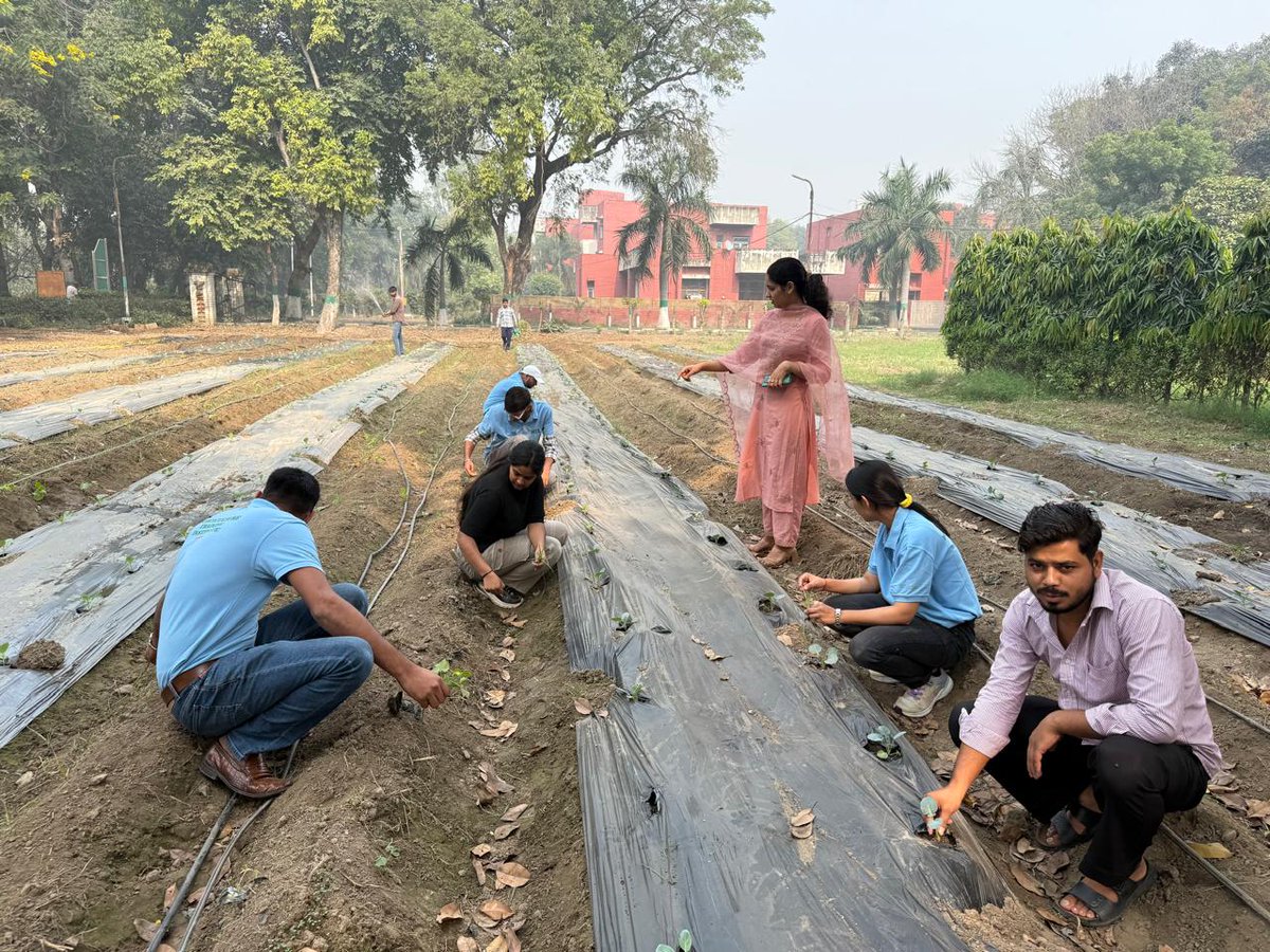 HTIKarnal's tweet photo. Practical session at field of Plant Nursery Associate course students of short duration skill courses under Agriculture Skill Council of India (ASCI) at HTI Karnal
@horticulturehry https://t.co/IiqzmGdNWA