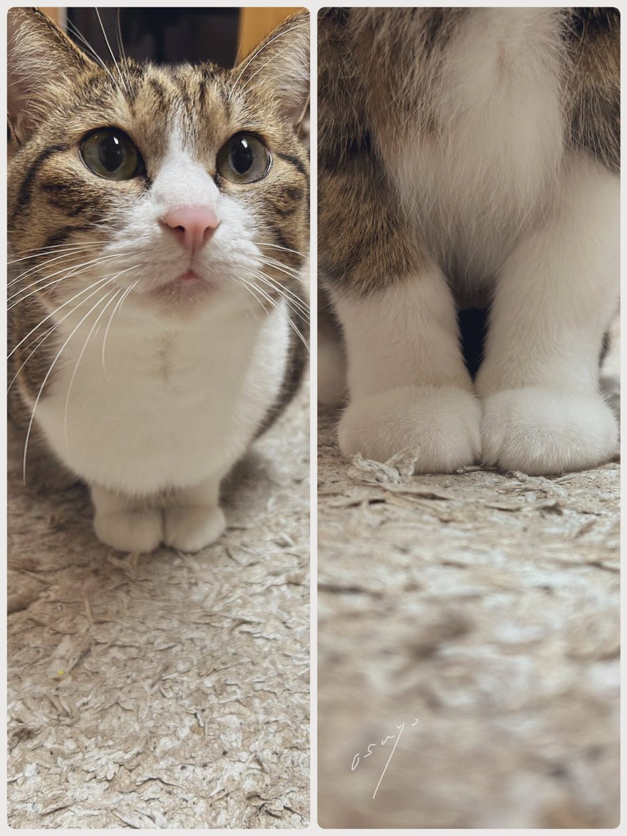 陽菜(またの名をmay) (@hinagi0315) / Posts / X