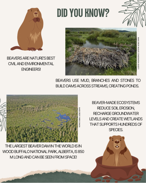 WEMADEIT tweet media