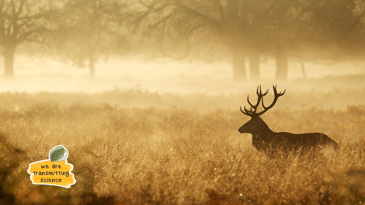 TransmitScience's tweet image. 🌱 How might a fresh perspective influence your next research step?

Our Career Coaching helps researchers explore ambitions, consider challenges, and reconnect with their purpose. It’s a space to pause, reflect, and plan thoughtfully.

#WeareTransmittingScience