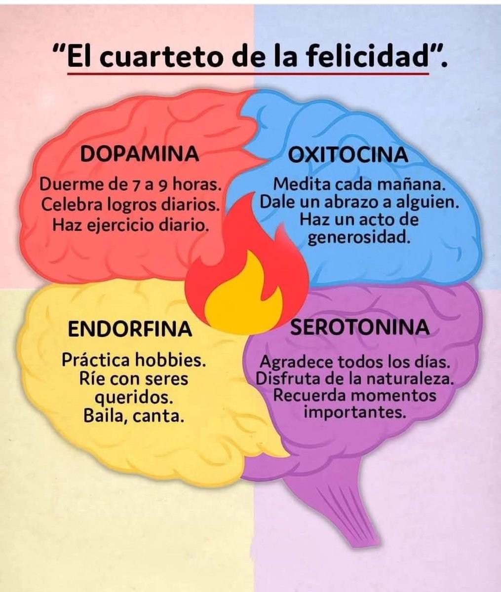 MindBodyIsLife tweet media