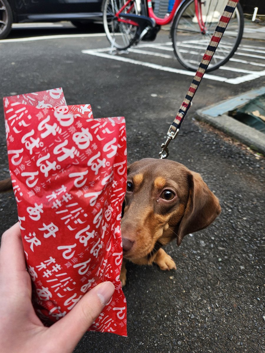 Shiuページ OEM 300ZX (Z32) Shifter Through Bolt