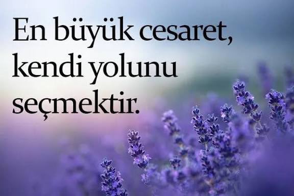 Batu (@_batucuk) on Twitter photo 