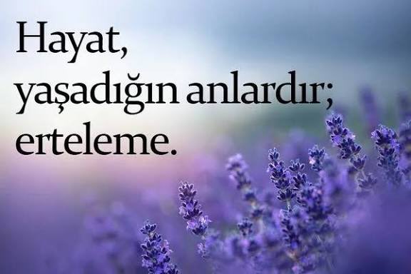 Batu (@_batucuk) on Twitter photo 