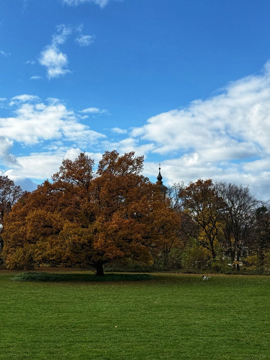 Ich kann dem Herbst schon durchaus was abgewinnen 🍁☀️ #Herbst #München