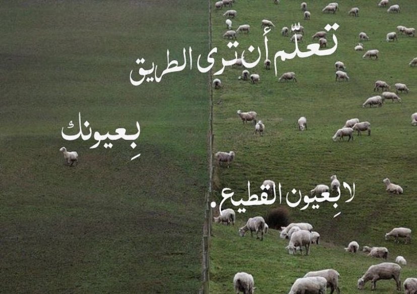 "تعلّم أن تري الطريق بِعيونك لابِعيون القطيع."